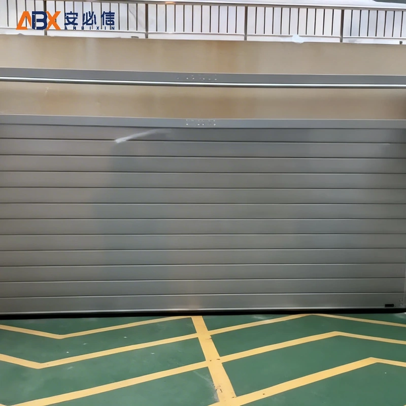 广安金属高速门